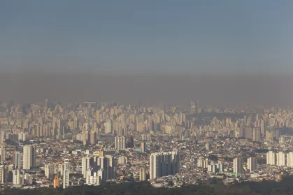 Relação entre poluição do ar e internações por doenças cardiovasculares em São Paulo